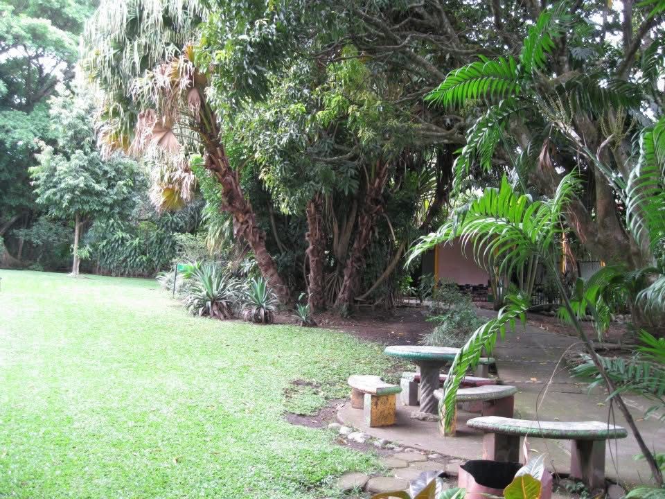 Oportunidad de Inversión: Propiedad Comercial y Versátil en Venta en Río Oro, Santa Ana | Ideal para Proyecto Educativo o Retiro